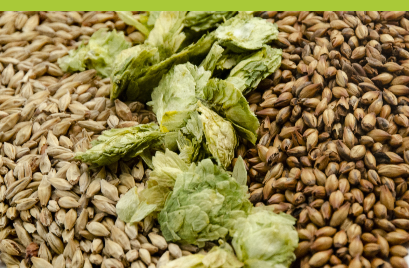 certificazione biologica certificazione biologica